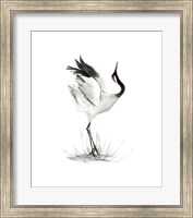 Japanese Cranes I Fine Art Print