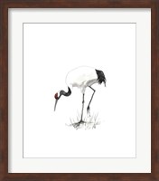 Japanese Cranes II Fine Art Print