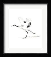 Japanese Cranes III Framed Print