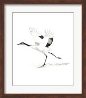 Japanese Cranes III Fine Art Print