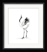 Japanese Cranes IV Framed Print