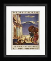 See South America II Framed Print