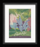 See South America IV Framed Print