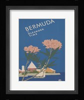 See South America V Framed Print