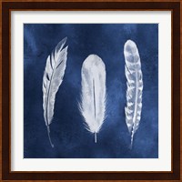 Cyanotype Feathers I Fine Art Print