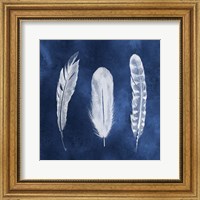 Cyanotype Feathers I Fine Art Print
