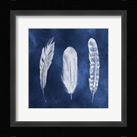 Cyanotype Feathers I Framed Print