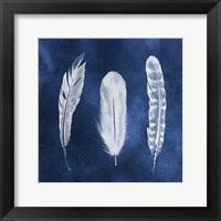 Cyanotype Feathers I Framed Print