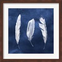 Cyanotype Feathers II Fine Art Print
