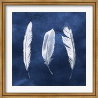 Cyanotype Feathers II Fine Art Print