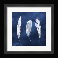 Cyanotype Feathers II Framed Print