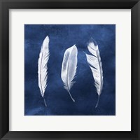 Cyanotype Feathers II Framed Print