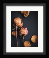 Wilted Dreams I Fine Art Print