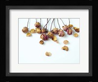 Golden Petals I Fine Art Print