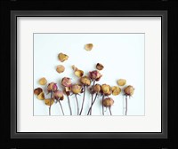 Golden Petals II Fine Art Print