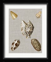 Shells on Linen I Fine Art Print