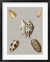Shells on Linen I Framed Print