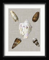 Shells on Linen II Fine Art Print