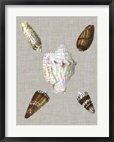 Shells on Linen II Framed Print