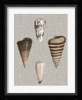 Shells on Linen III Fine Art Print