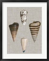 Shells on Linen III Framed Print