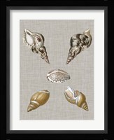 Shells on Linen IV Fine Art Print