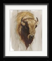 Western American Animal Study III Framed Print