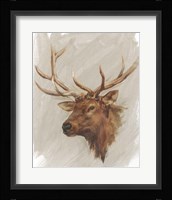 Western American Animal Study IV Framed Print