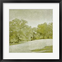 Beryl Landscape  II Framed Print