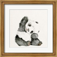 Baby Panda I Fine Art Print