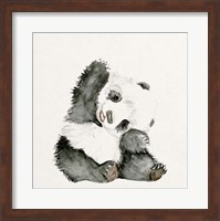 Baby Panda I Fine Art Print