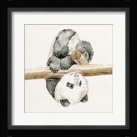 Baby Panda II Framed Print