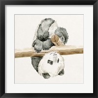 Baby Panda II Fine Art Print