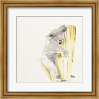 Baby Koala I Fine Art Print