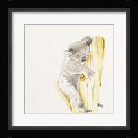 Baby Koala I Fine Art Print