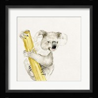 Baby Koala II Framed Print