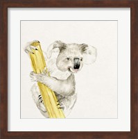 Baby Koala II Fine Art Print