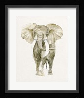 Baby Elephant I Framed Print