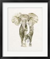 Baby Elephant I Fine Art Print