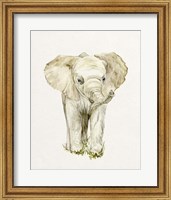 Baby Elephant II Fine Art Print