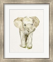 Baby Elephant II Fine Art Print