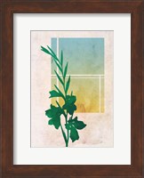 Ombre Gladiolus Flowers Fine Art Print