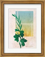 Ombre Gladiolus Flowers Fine Art Print