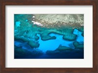 Coral Reefs of Mamanuca Island Group, Fiji Fine Art Print