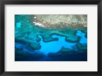 Coral Reefs of Mamanuca Island Group, Fiji Fine Art Print