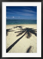 Shadow of Palm Trees on Beach, Coral Coast, Fiji Fine Art Print