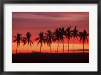 Palm Trees and Sunset, Queens Road, Fiji Fine Art Print