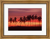 Palm Trees and Sunset, Queens Road, Fiji Fine Art Print