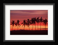 Palm Trees and Sunset, Queens Road, Fiji Framed Print