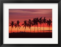 Palm Trees and Sunset, Queens Road, Fiji Framed Print